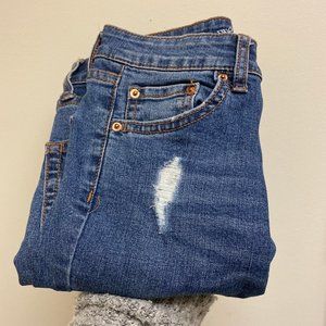 Wild Fable Ripped Jeans